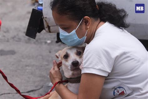 PhilHealth asks public to vaccinate pets, says ABTP available since 2012.